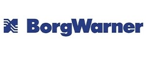 BorgWarner (BERU)